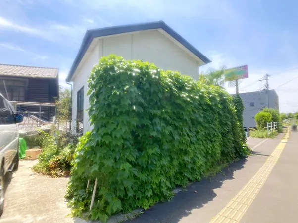 現地写真