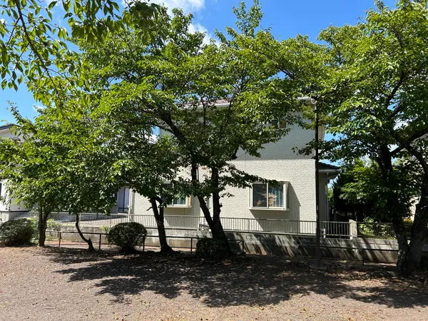 公園側からの外観です。