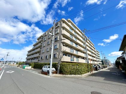 ナイスアーバン富沢 外観 ナイスアーバン富沢 外観