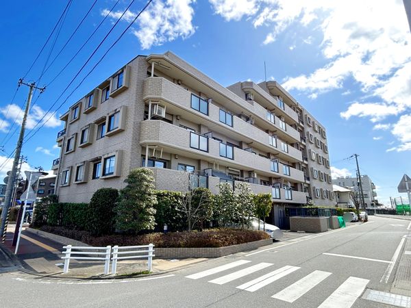 ナイスアーバン富沢 外観 ナイスアーバン富沢 外観