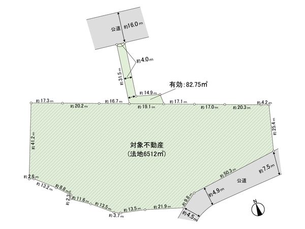 土地 芋沢字高野原 地形図