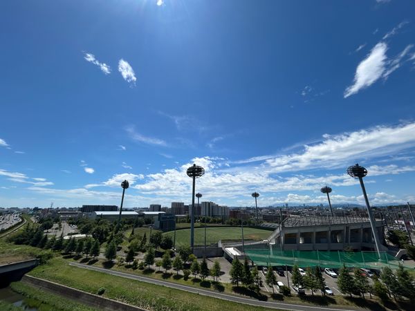 ナイスパークフィールド小鶴新田 眺望