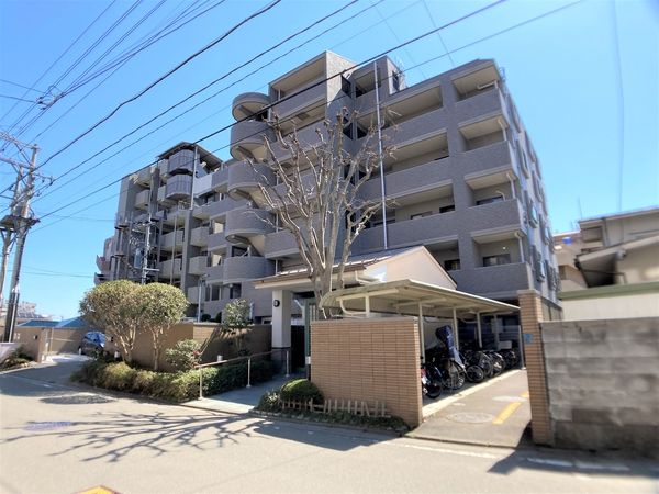 中島丁パーク・ホームズ 外観 中島丁パーク・ホームズ 外観