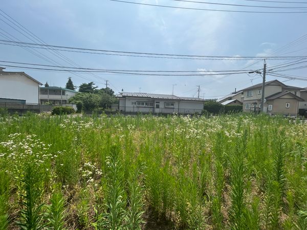 愛子中央3丁目 土地 B区画 土地写真