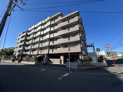 ナイスアーバン泉中央 外観