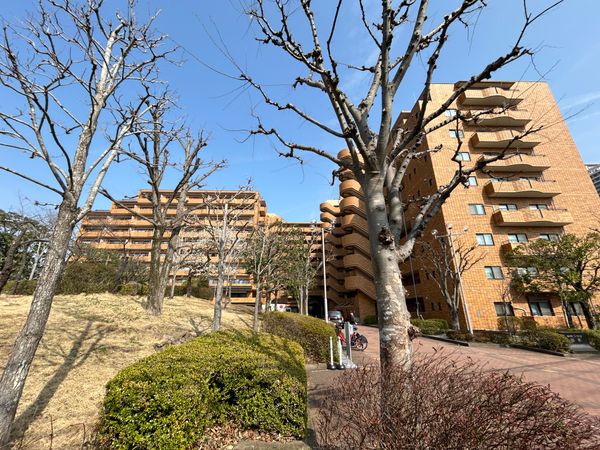 朝日プラザ柏木 東棟 外観 朝日プラザ柏木 東棟 外観