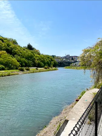 広瀬川と愛宕緑地の眺望