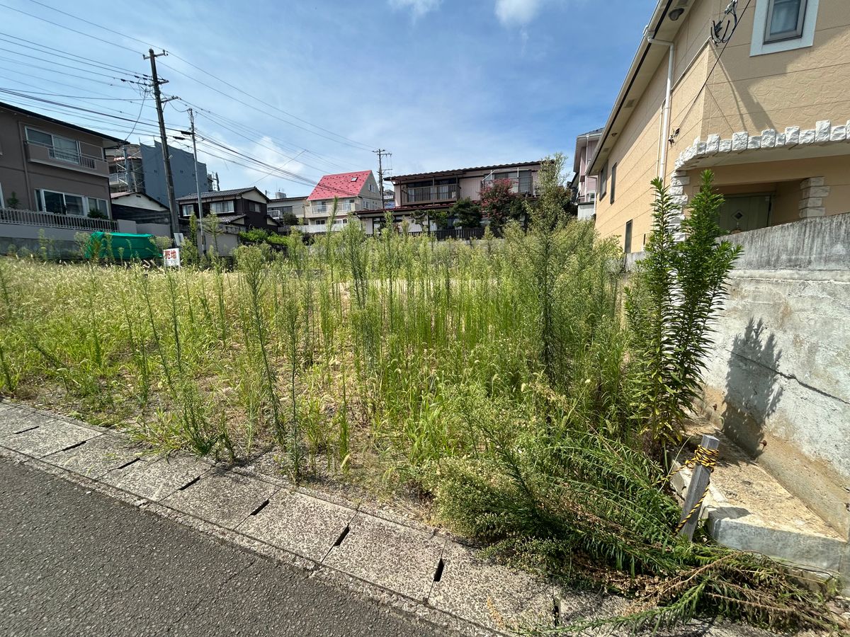 土地写真