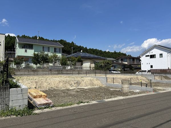 その他現地