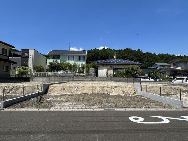 その他現地