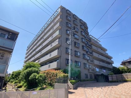 ナイスアーバンステイツ柏木 外観