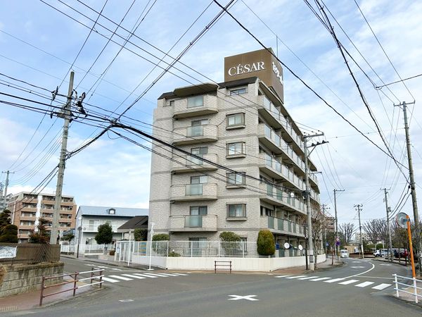 セザール富沢 外観