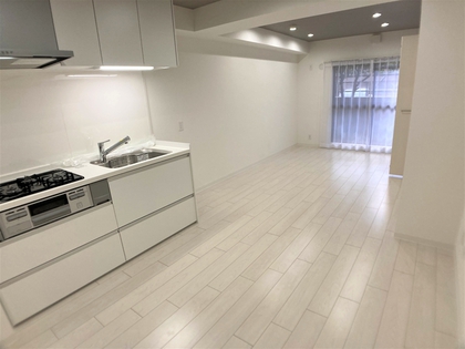 ダイアパレス北六番丁 リビング ダイアパレス北六番丁 リビング