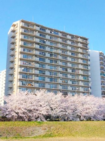 多賀城ロジュマン D棟 外観 多賀城ロジュマン D棟 外観