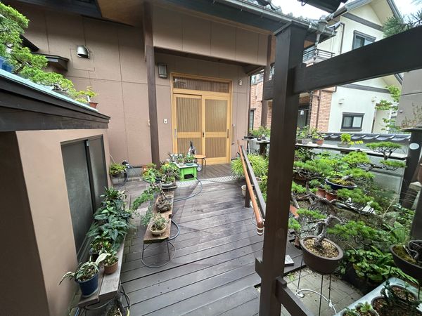 南光台6丁目 戸建 庭 南光台6丁目 戸建 庭