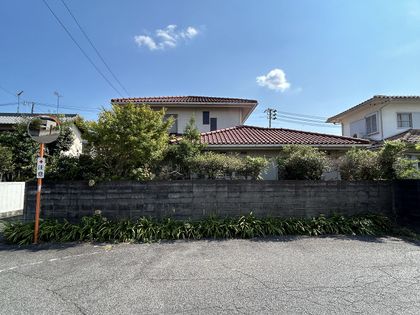 原尾島土地 土地写真
