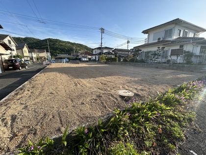 原尾島土地 土地写真