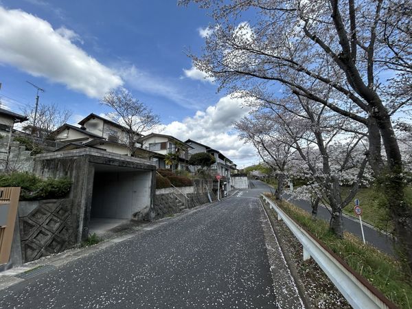 津高戸建 前面道路含む外観