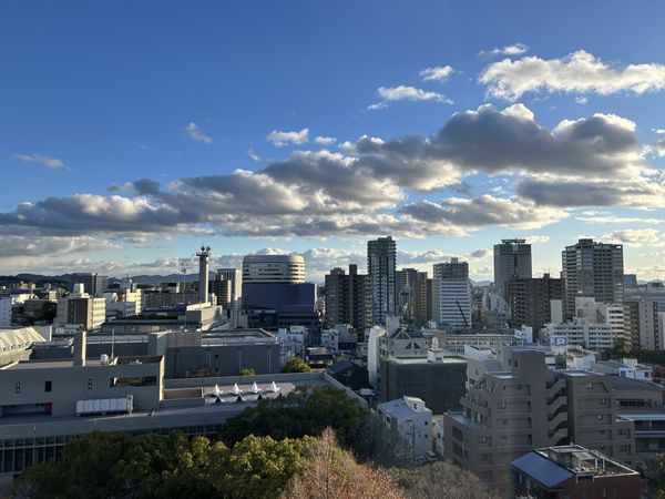 アルファステイツ後楽園通り 眺望