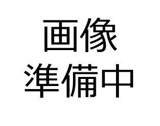 エスケイビル 間取図(平面図) エスケイビル 間取図(平面図)