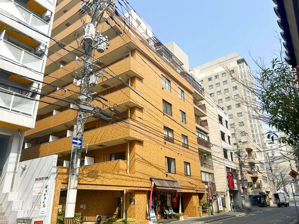 ダイアパレス大手町第2 外観 ダイアパレス大手町第2 外観