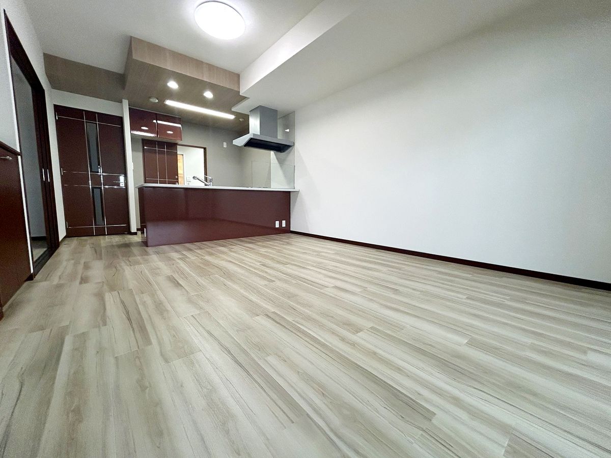 ルミナス三川町ラヴィアン・シャンゼリゼ リビング リビング