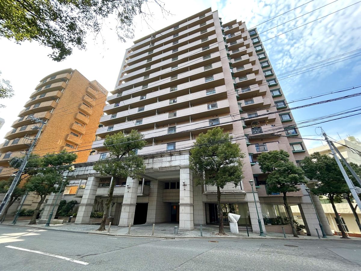 ロイヤルロッコー柳橋公園 外観 外観