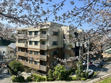 ライオンズヴィアーレ牛田旭 眺望