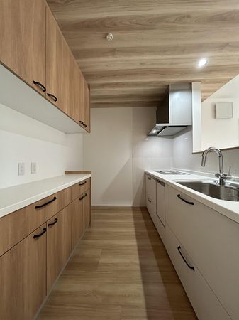 己斐中三丁目 新築戸建 キッチン