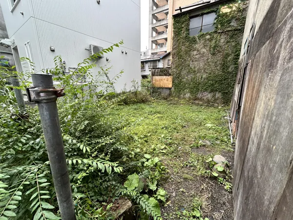 現地写真（令和７年９月撮影）