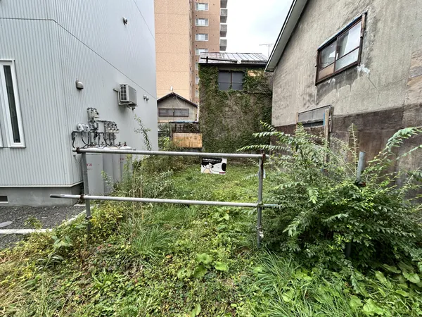 現地写真（令和７年９月撮影）