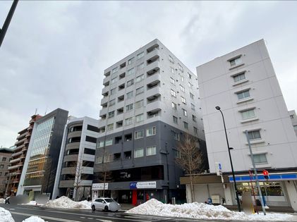 マンション大通 外観