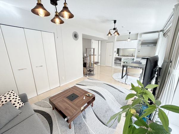 ディーレスティア山鼻南 リビング ディーレスティア山鼻南 リビング