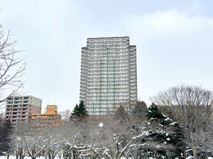ザ・タワー中島公園ラピス・ライオンズスクエア 外観