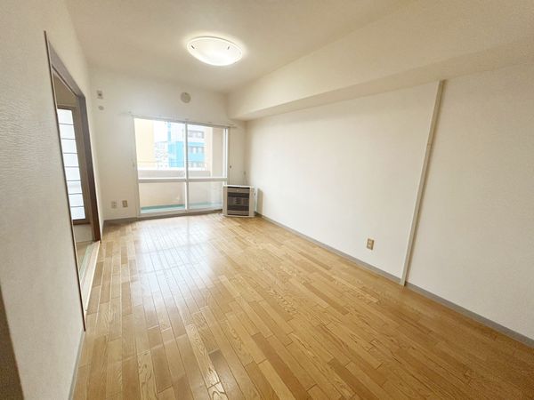 ダイアパレス南3条 リビング