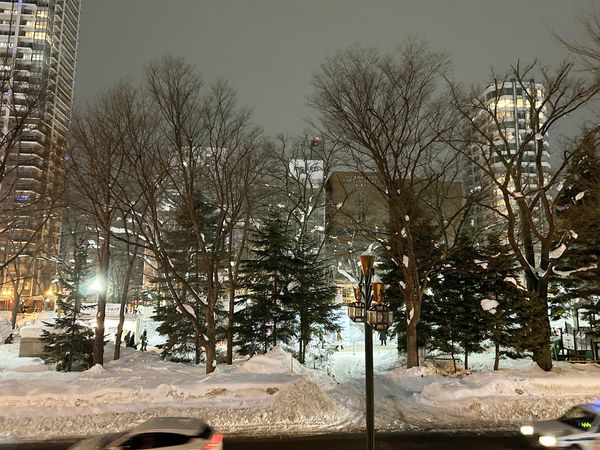 パークリュクス札幌大通公園 眺望