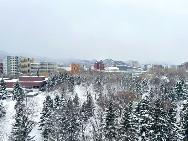 アスレチックパレス 眺望 アスレチックパレス 眺望