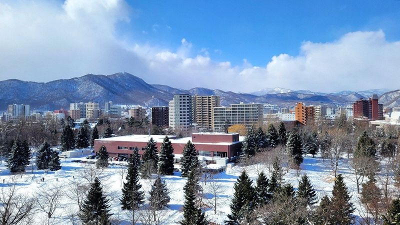 アスレチックパレス 眺望