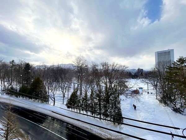 アルス中島公園ビュースクエア 眺望 アルス中島公園ビュースクエア 眺望