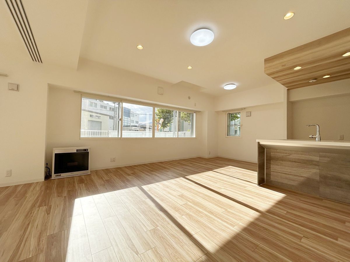 クリーンリバー桑園駅前Ⅱ リビング リビング