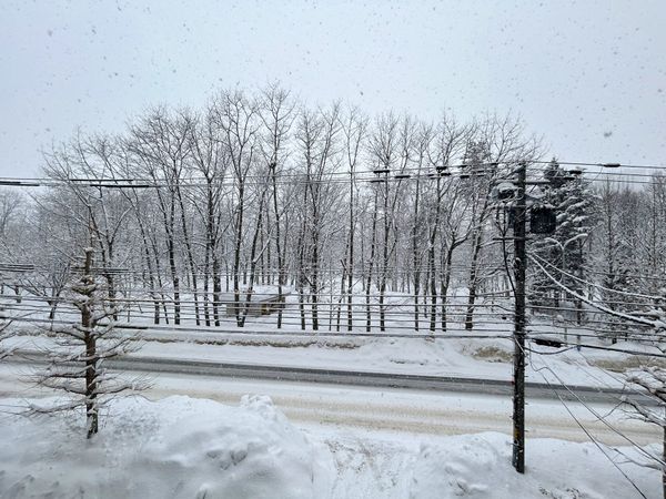 ライオンズマンション中島公園通り 眺望 ライオンズマンション中島公園通り 眺望