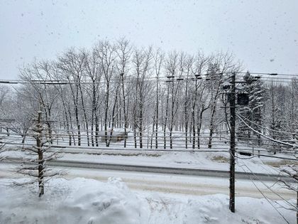 ライオンズマンション中島公園通り 眺望
