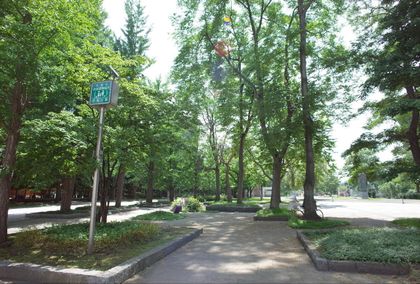 パーソナルステージ中島公園グレイス 中島公園(約430m) 中島公園(約430m)