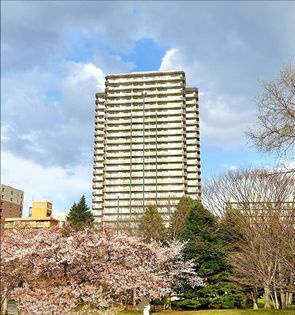ザ・タワー中島公園ラピスライオンズスクエア 外観