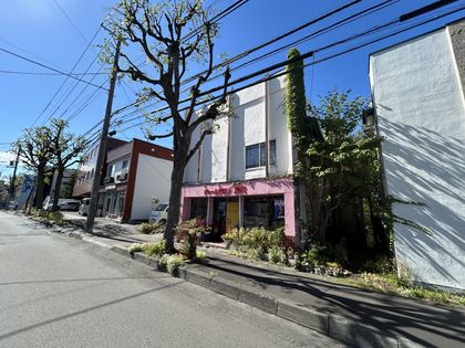 平岸1条1丁目 土地 土地写真