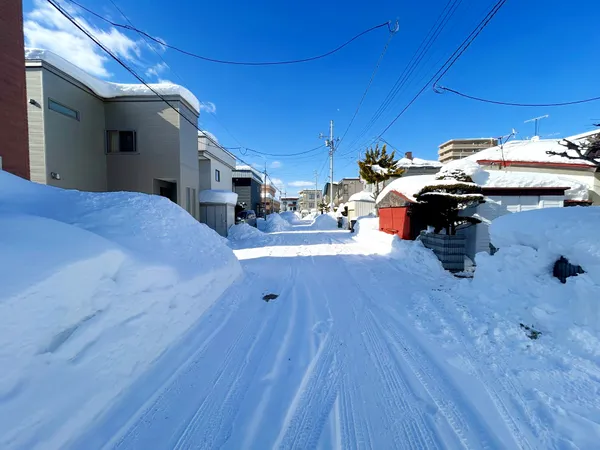 前面道路（幅員：約8.0ｍ）