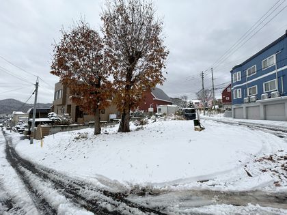 西野6条10丁目 土地 土地写真