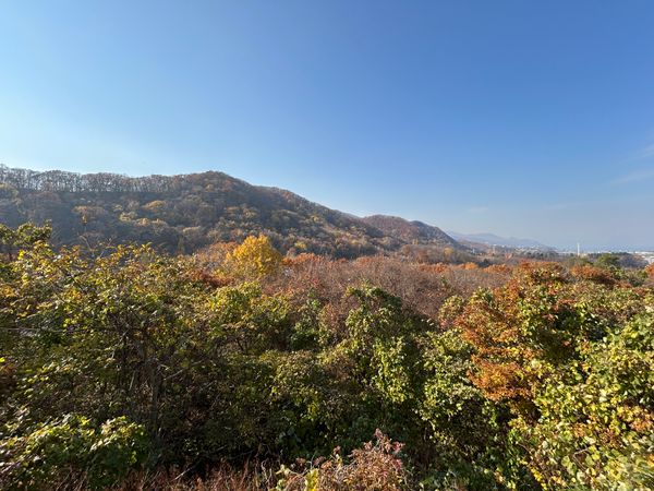 金山2条4丁目 戸建 眺望