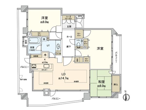 ラピスタワー南平岸リバーサイド 間取図(平面図)