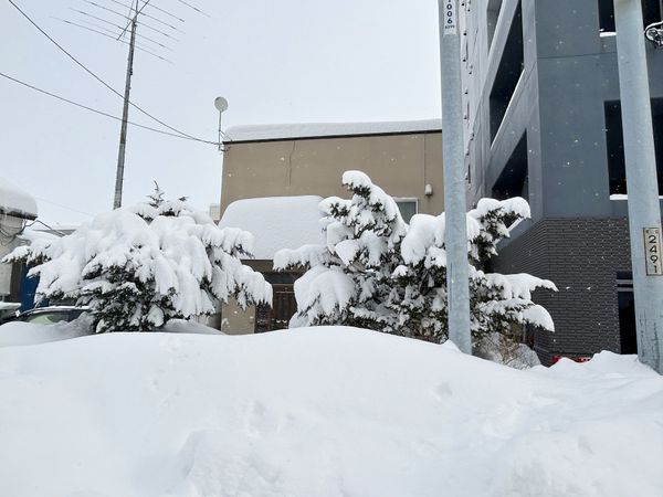 北15条東1丁目 土地 土地写真 土地写真